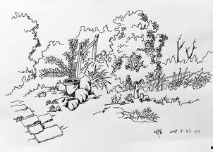 钢笔画视频,视频教程中的技巧解析与创作灵感